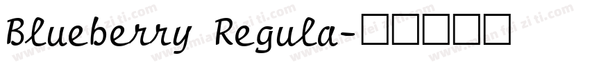 Blueberry Regula字体转换